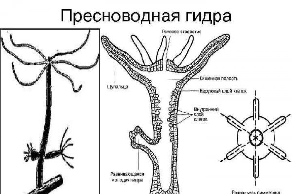 Кракен зеркало рабочее onion