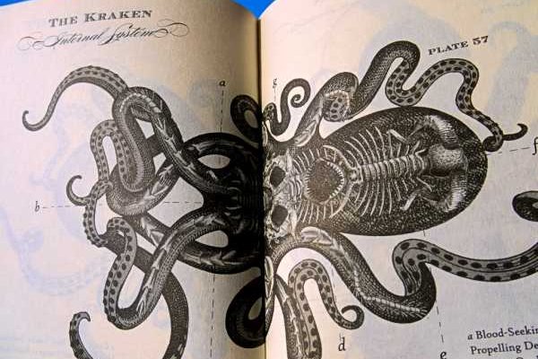 Кракен ориг ссылка
