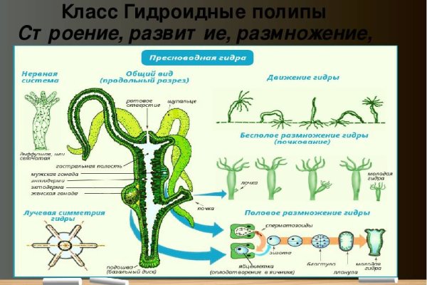 Купить наркотики томск