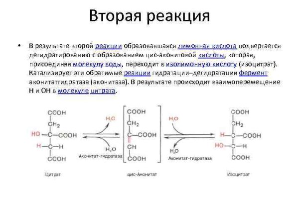 Кракен маркетплейс официальный сайт сайт ссылка
