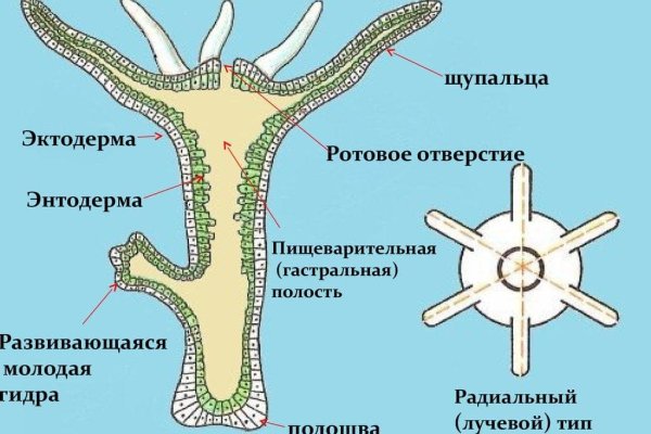 Kraken сайт kraken torion
