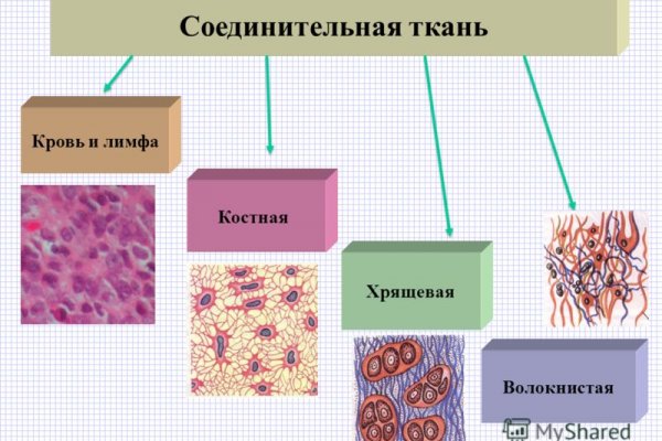 Кракен сегодня сайт зеркало