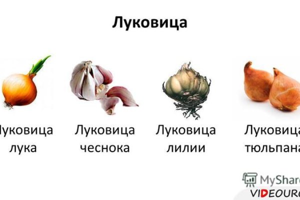 Кракен войти