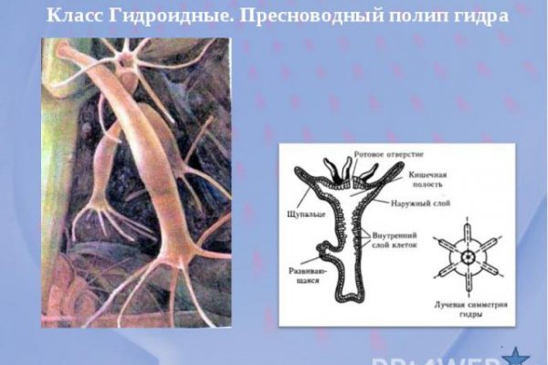 Кракен актуальная ссылка на сегодня