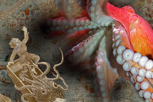Kraken официальное зеркало kraken dark link