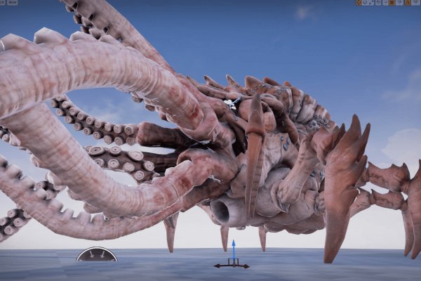 Kraken 19at