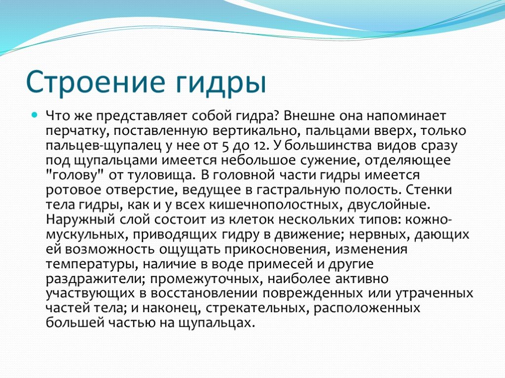 Кракен макет даркнет только через тор